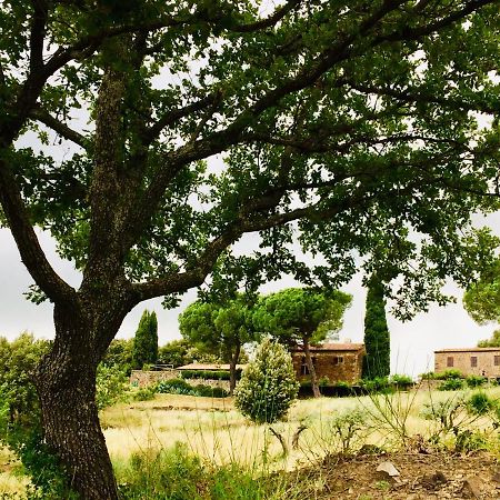 Nocini Di Maremma Villa Tatti Eksteriør billede