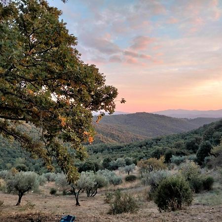 Nocini Di Maremma Villa Tatti Eksteriør billede