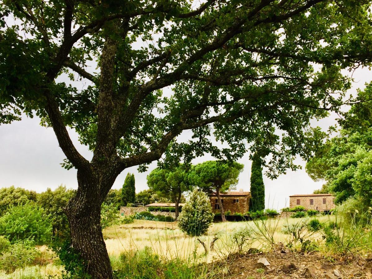 Nocini Di Maremma Villa Tatti Eksteriør billede