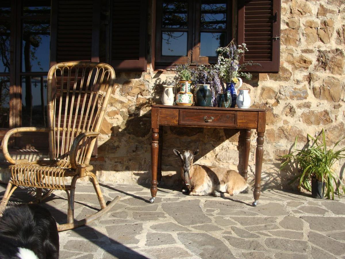 Nocini Di Maremma Villa Tatti Eksteriør billede