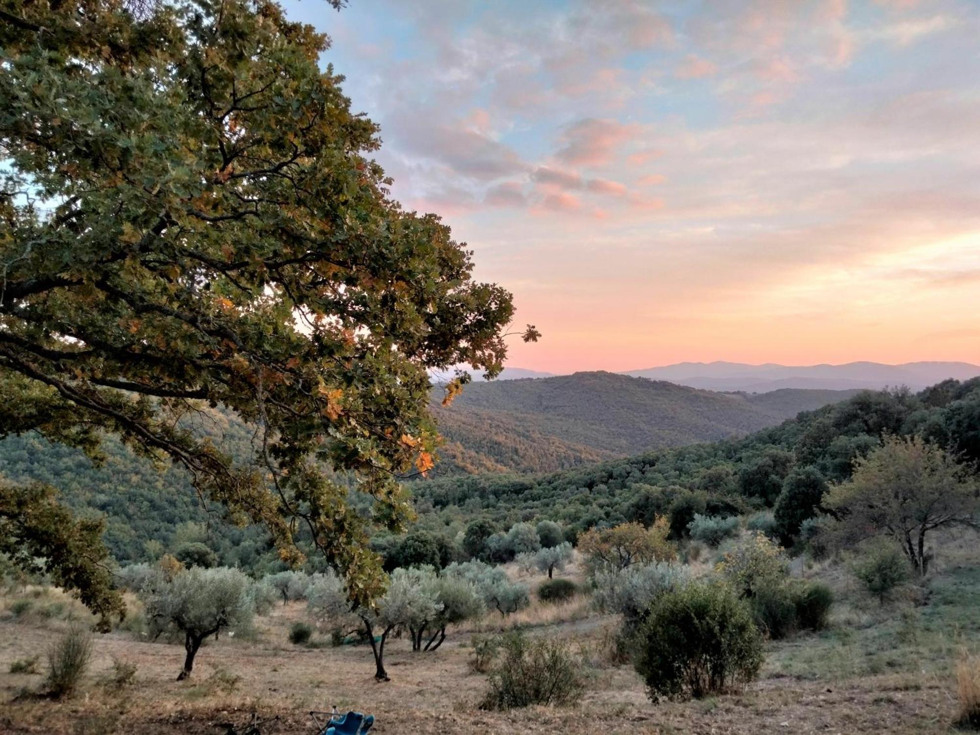 Nocini Di Maremma Villa Tatti Eksteriør billede