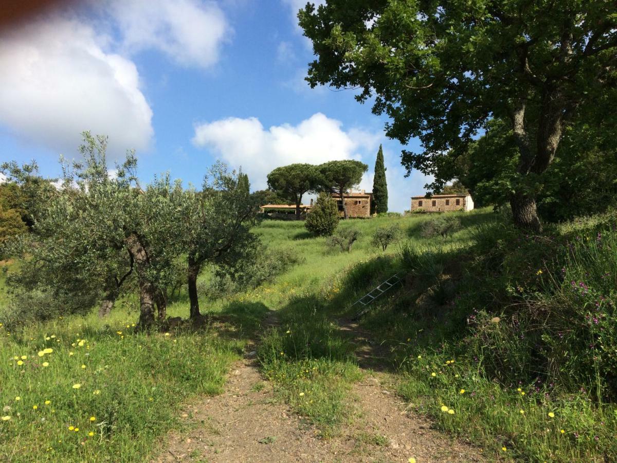 Nocini Di Maremma Villa Tatti Eksteriør billede